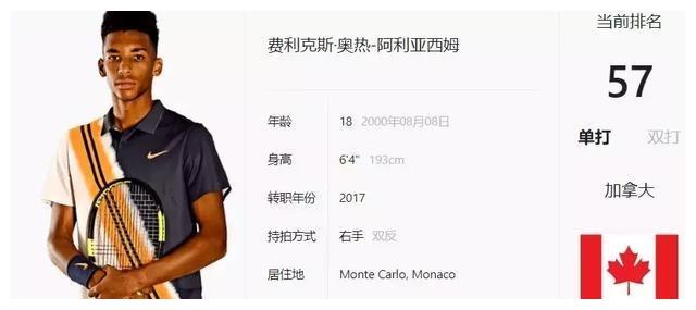 成型单体主 成型单体主